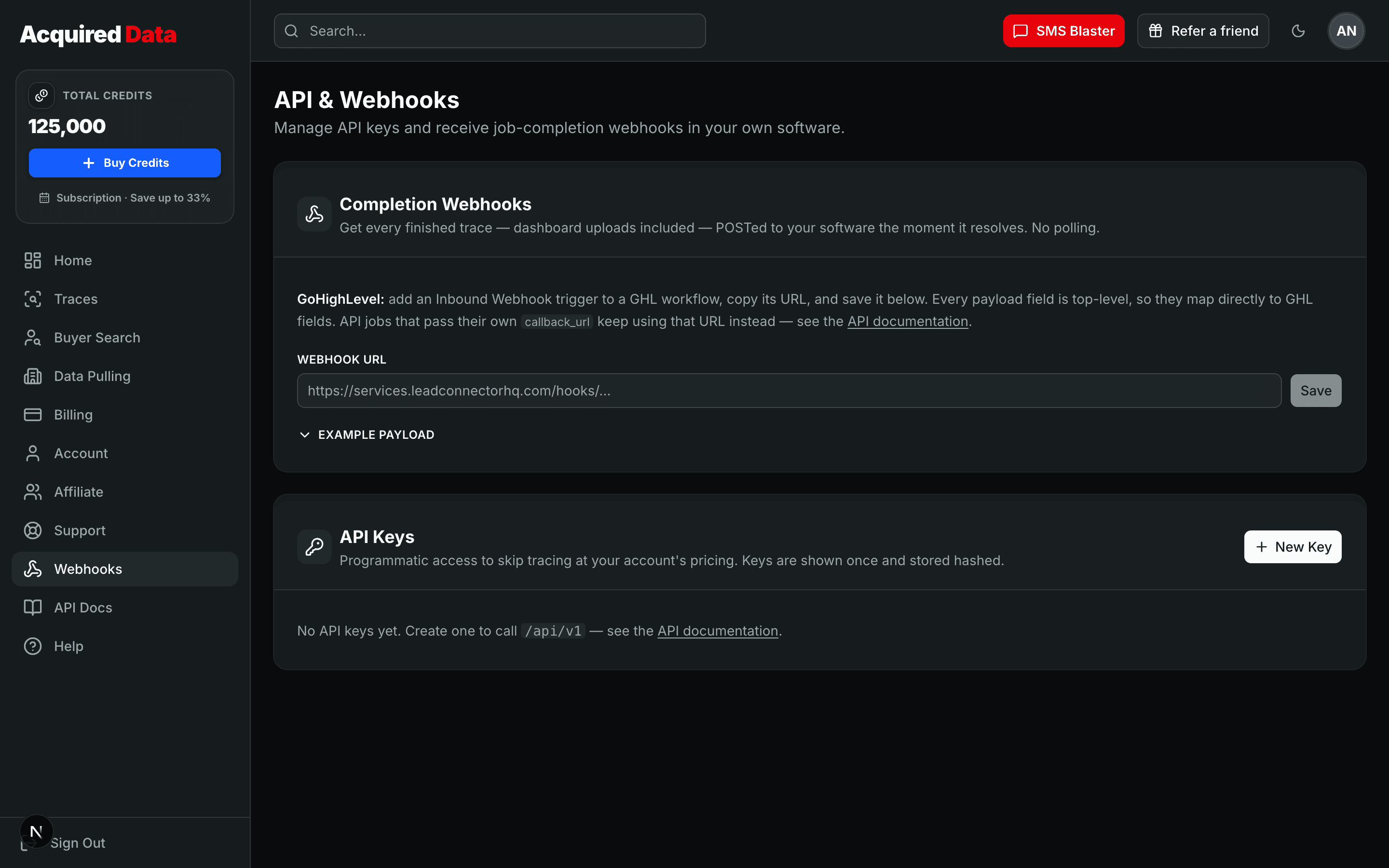 The API & Webhooks page with the completion-webhook URL field, a note about GoHighLevel, and the API Keys section below.